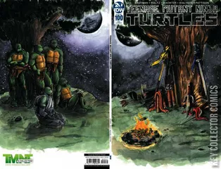 Variant Cover for Teenage Mutant Ninja Turtles #100