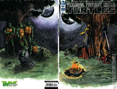 Teenage Mutant Ninja Turtles #100
