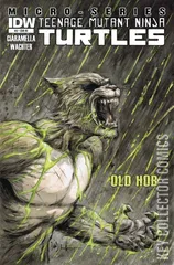 Variant Cover for Teenage Mutant Ninja Turtles: Villains Micro-Series #3