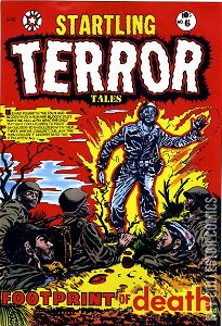 Startling Terror Tales #6