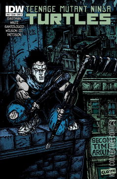 Variant Cover for Teenage Mutant Ninja Turtles #45