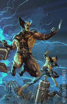 Variant Cover for Wolverine #13