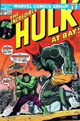 Variant Cover for Incredible Hulk #171