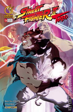 Variant Cover for Street Fighter II Turbo #12