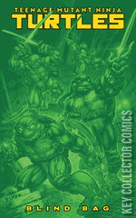 Variant Cover for Teenage Mutant Ninja Turtles #13