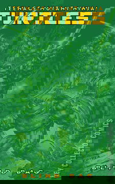 Variant Cover for Teenage Mutant Ninja Turtles #13