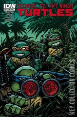 Variant Cover for Teenage Mutant Ninja Turtles #43
