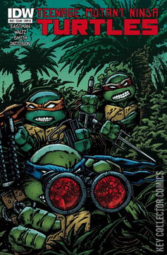 Variant Cover for Teenage Mutant Ninja Turtles #43