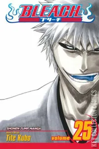 Bleach #25