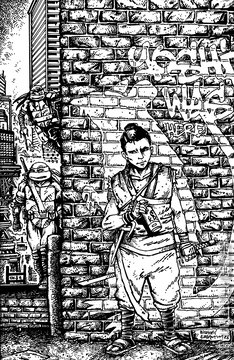 Variant Cover for Teenage Mutant Ninja Turtles #18