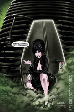 Variant Cover for Elvira In Horrorland #5