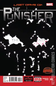 Punisher #20