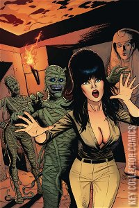 Elvira: Mistress of the Dark #11 