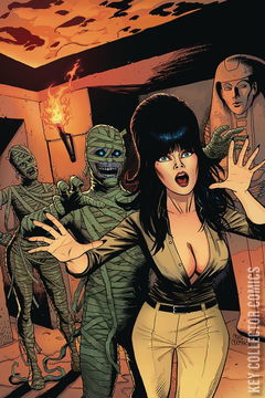 Variant Cover for Elvira: Mistress of the Dark #11