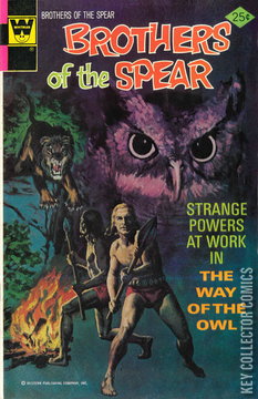 Variant Cover for Brothers of the Spear #17