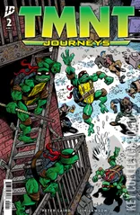 Variant Cover for Teenage Mutant Ninja Turtles: Journeys #2