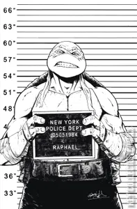 Teenage Mutant Ninja Turtles #141
