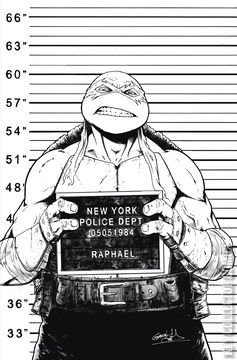 Variant Cover for Teenage Mutant Ninja Turtles #141