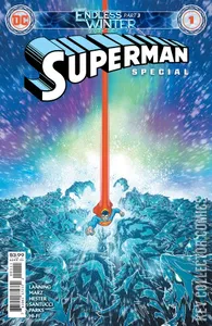Superman: Endless Winter Special #1