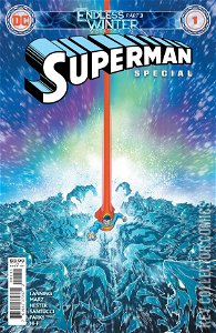Superman: Endless Winter Special