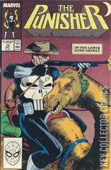 Cover for Punisher #19