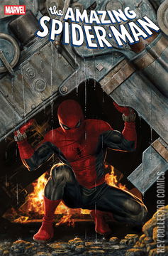 Variant Cover for Amazing Spider-Man #14