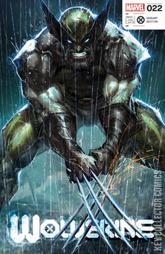 Variant Cover for Wolverine #22