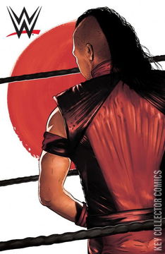 Variant Cover for WWE #25