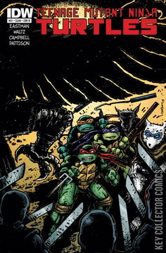 Variant Cover for Teenage Mutant Ninja Turtles #31