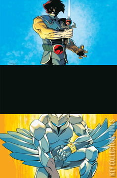 Variant Cover for Thundercats x Silverhawks #1
