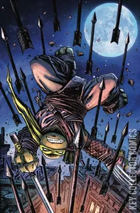 Teenage Mutant Ninja Turtles #100