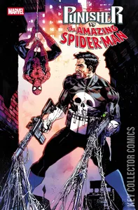 Punisher vs Spider-Man #1