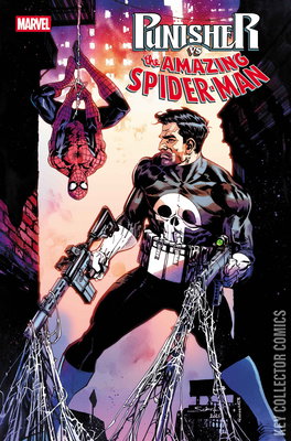 Punisher vs Spider-Man