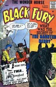 Black Fury #23