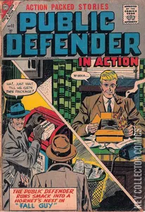 Public Defender in Action #11