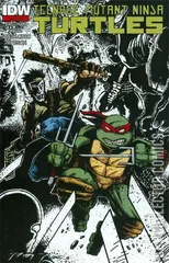 Variant Cover for Teenage Mutant Ninja Turtles #22