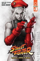 Variant Cover for Street Fighter Unlimited #3