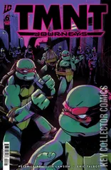 Variant Cover for Teenage Mutant Ninja Turtles: Journeys #6