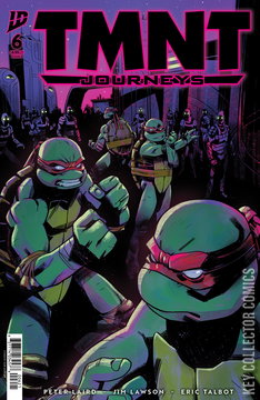 Variant Cover for Teenage Mutant Ninja Turtles: Journeys #6