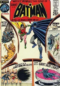 Batman #228