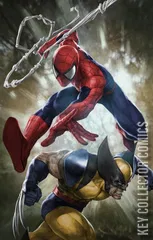 Variant Cover for Amazing Spider-Man #9
