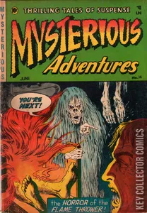 Mysterious Adventures #14