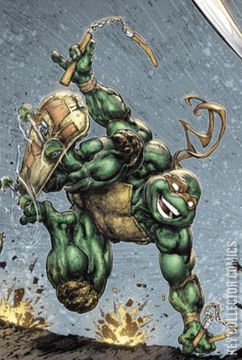 Variant Cover for Teenage Mutant Ninja Turtles #109