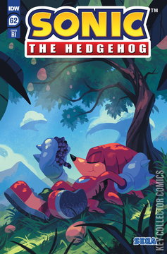 Variant Cover for Sonic the Hedgehog #62