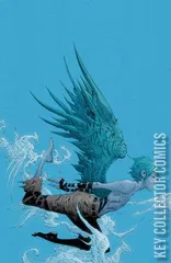 Variant Cover for Wynd: The Power of the Blood #4