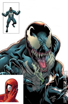 Variant Cover for Venom #29