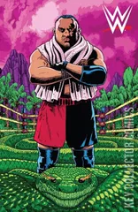 Variant Cover for WWE #19