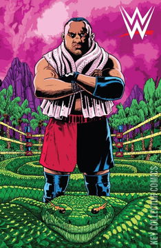 Variant Cover for WWE #19