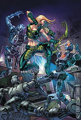 Robyn Hood: Vigilante