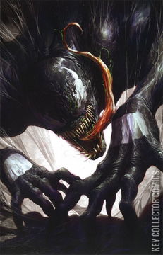 Variant Cover for Venom #28
